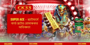 Super Ace – প্ল্যাটফর্মে কার্ড স্লটের রোমাঞ্চকর অভিজ্ঞতা
