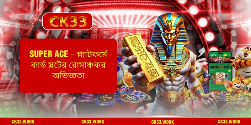 Super Ace – প্ল্যাটফর্মে কার্ড স্লটের রোমাঞ্চকর অভিজ্ঞতা