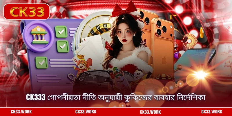 CK333 গোপনীয়তা নীতি অনুযায়ী কুকিজের ব্যবহার নির্দেশিকা