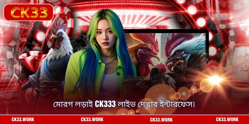 মোরগ লড়াই CK333 লাইভ দেখার ইন্টারফেস।