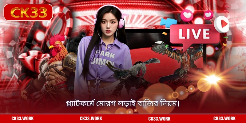 প্ল্যাটফর্মে মোরগ লড়াই বাজির নিয়ম।